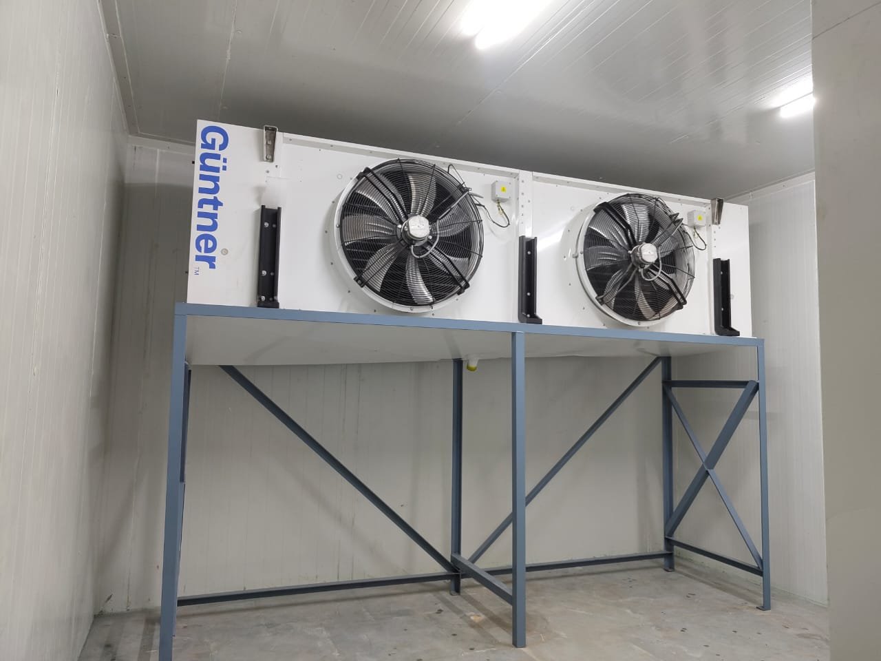 Blast Freezer