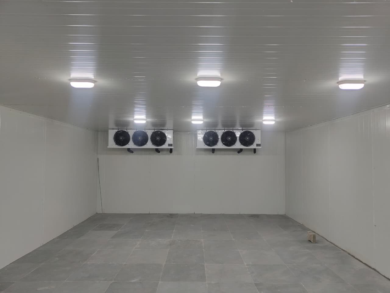 Walk-in Freezer